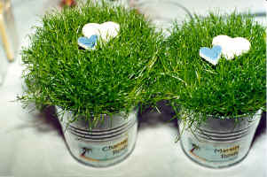 75chamatoepfe.jpg (108219 Byte)